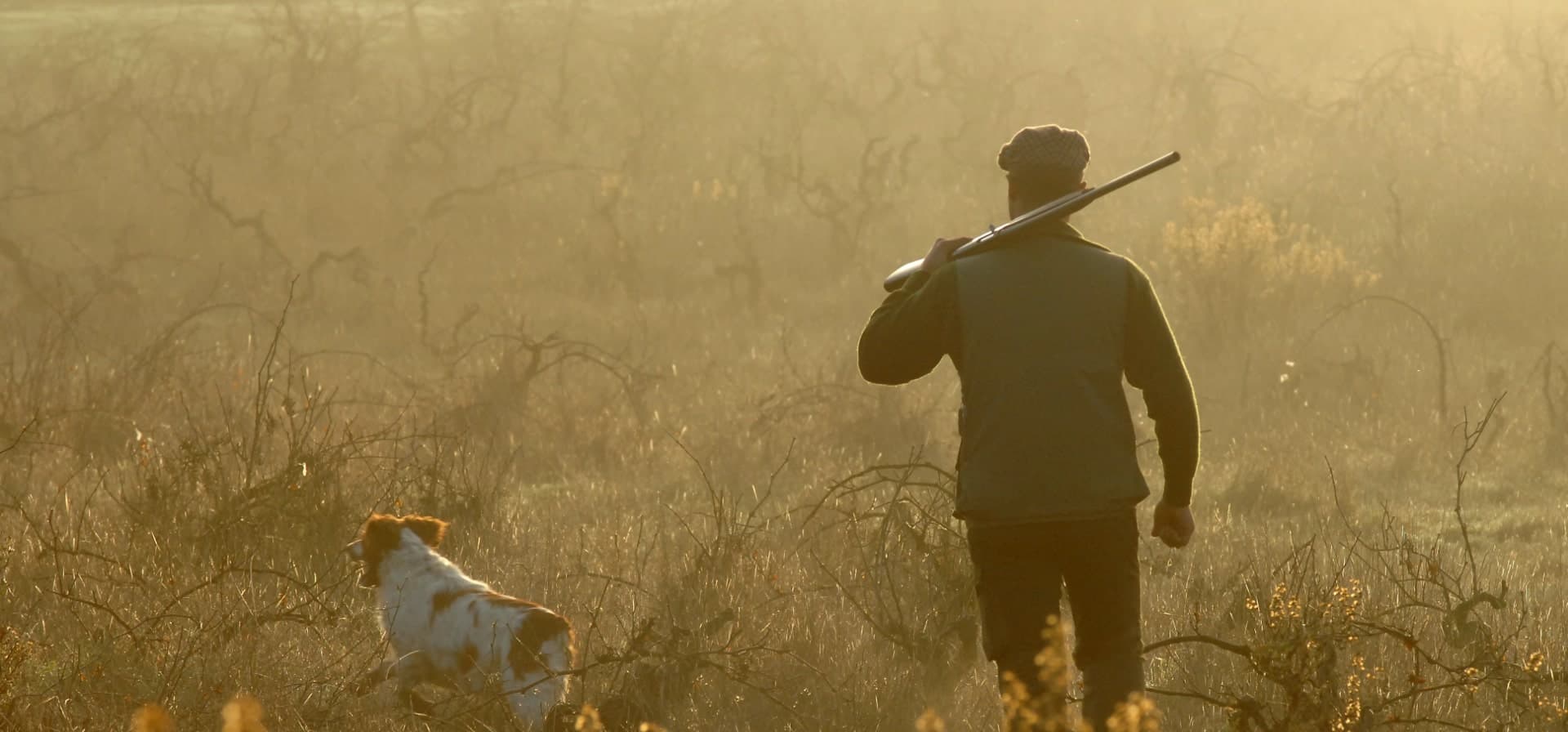 chasseur cocagne